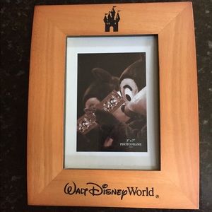 Disney frame